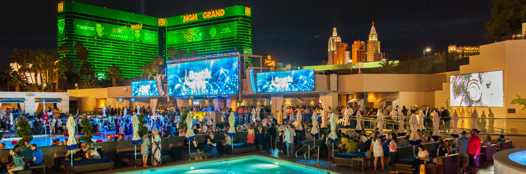 Design N Gather 2016 MGM Grand Las Vegas